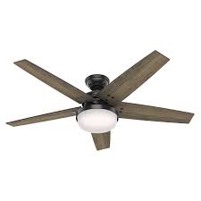 Ceiling fan