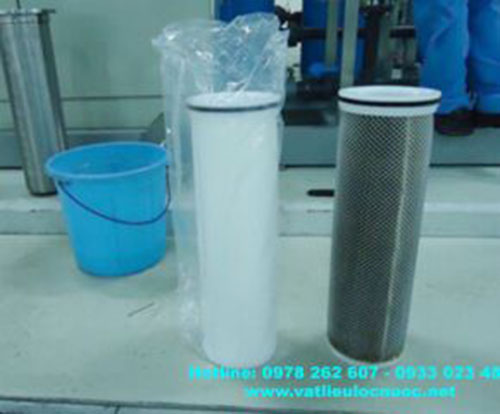 Water purifier core