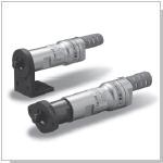Pneumatic motor