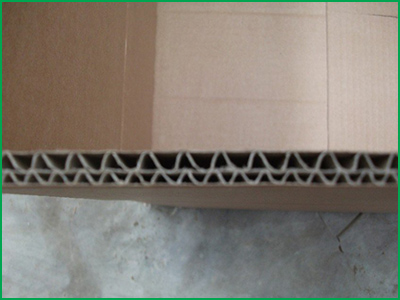 Carton Box