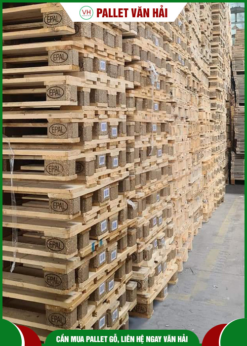 Euro pallet 800x1200