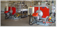Oil fired boiler