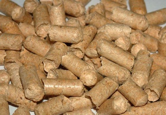 Wood pellet