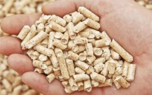 Wood pellet