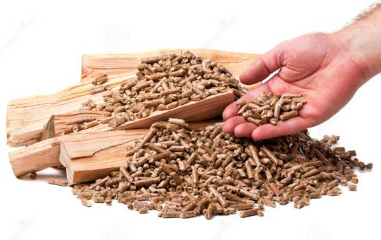 Wood pellet