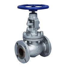 Globe Valve