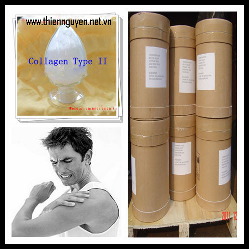 Collagen