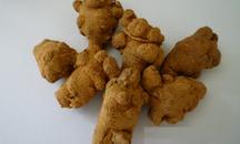 False ginseng