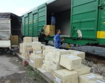 Light cargo transport