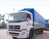 Light cargo transport
