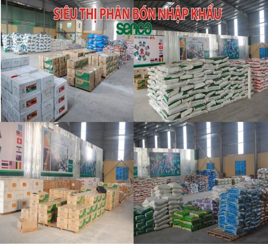 Storage & Warehouse