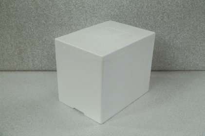 Formed styrofoam