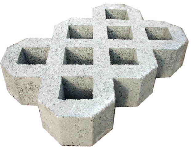 Grass block paver