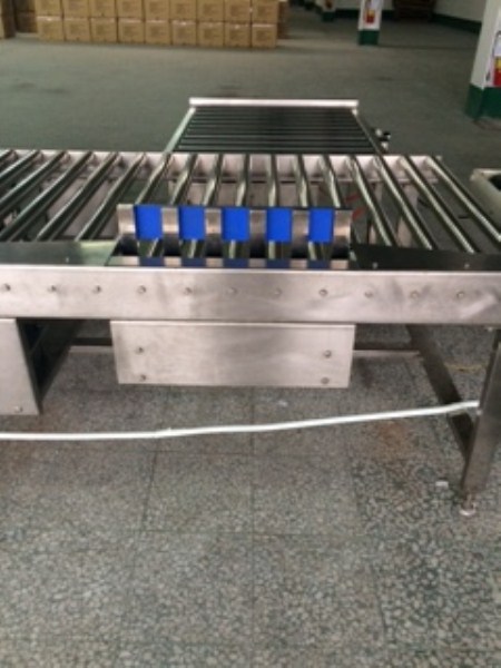 Conveyor Rollers