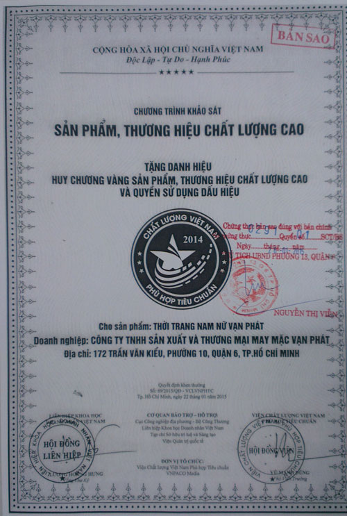 Gold medal: Vietnam standard