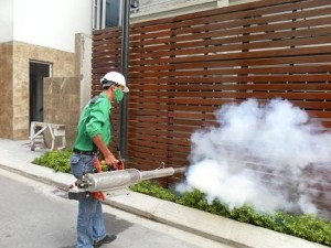 Mosquito elimination service for house