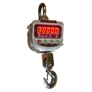 Hook scale