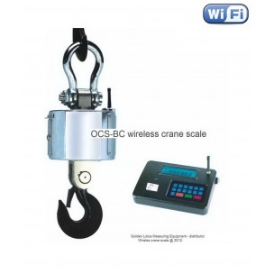 Wireless hook scale