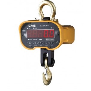 Hook scale