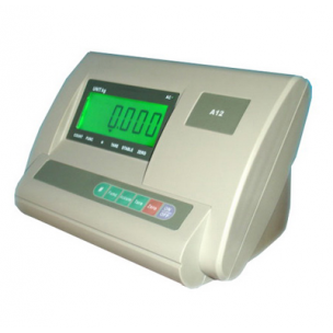 Scale display head