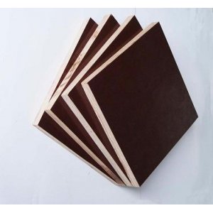 Plywood covered Cimen