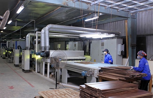 UV coating processing for plywood