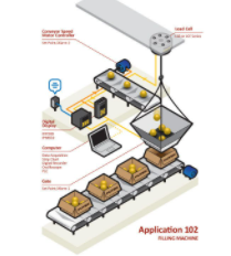 Fruits packing machine