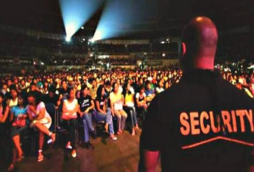 Festival Security Service