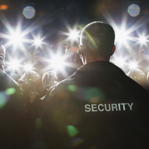 Music Show Security Service