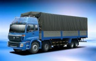 Domestic Transportation