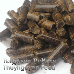 Bagasse Silage