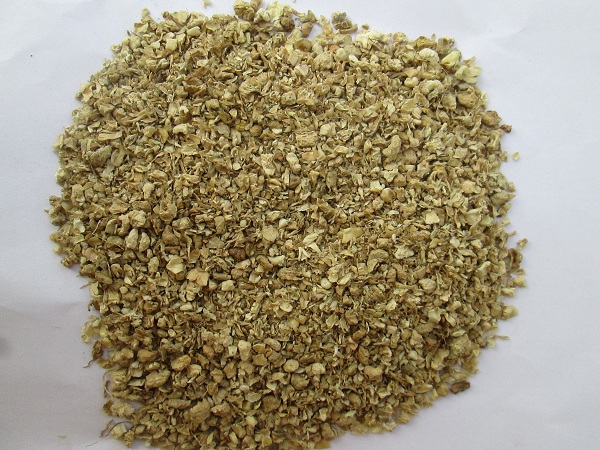 Corn Silage