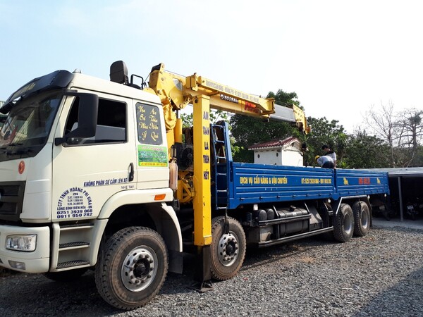 Cargo lifting and hoisting service