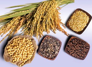 Agricultural