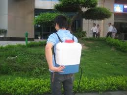 Tree watering service