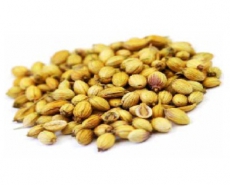 Basil seeds