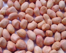 Peanut kernels