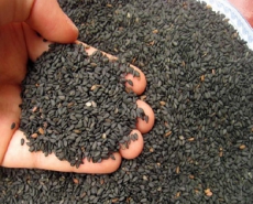 Black sesame seeds