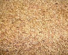 Yellow sesame seeds