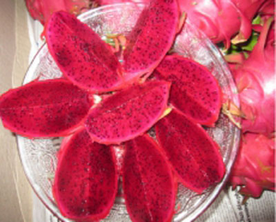 Red dragon fruit