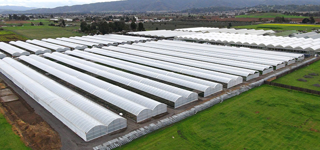 Greenhouse cover