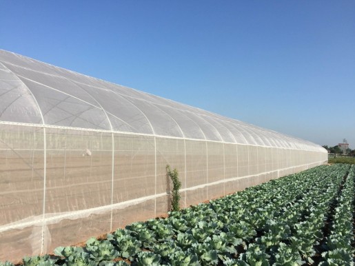 Greenhouse cover