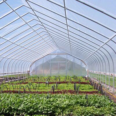 Greenhouse cover