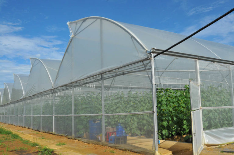 Greenhouse cover