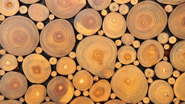 Acacia Wood