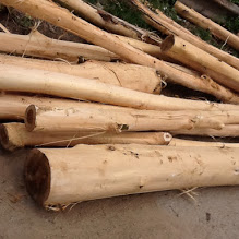 Acacia Wood