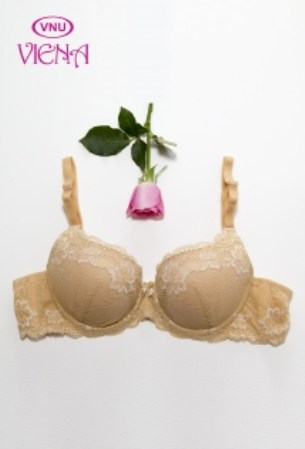 Lace bra