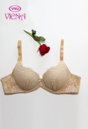 Lace bra