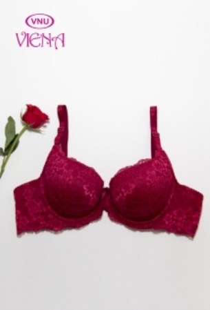 Lace bra