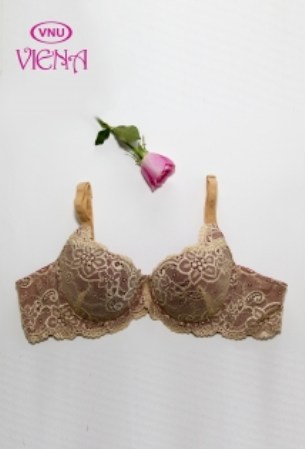 Lace bra